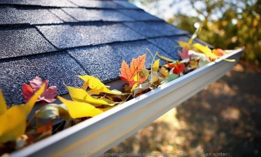 Seizoensgebonden rioolproblemen Oss: herfst en winter