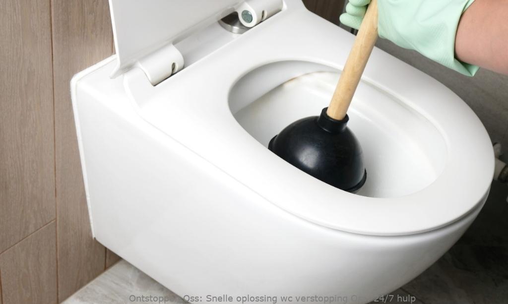 Snelle oplossing wc verstopping Oss: 24/7 hulp