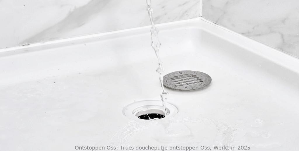 Trucs doucheputje ontstoppen Oss, Werkt in 2025