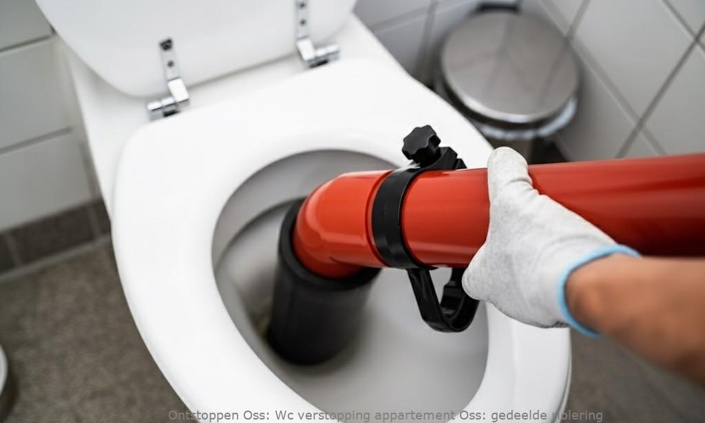 Wc verstopping appartement Oss: gedeelde riolering